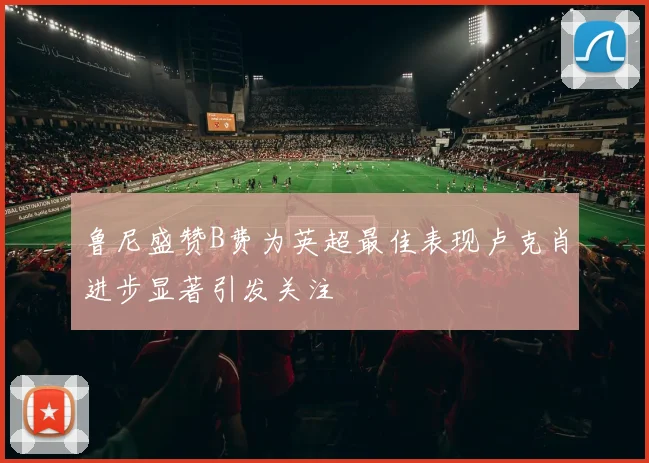 鲁尼盛赞B费为英超最佳表现卢克肖进步显著引发关注